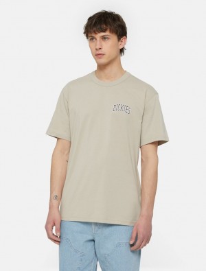 Camiseta Dickies Aitkin Chest Logo Short Sleeve Masculino Cinzentas | 146405332