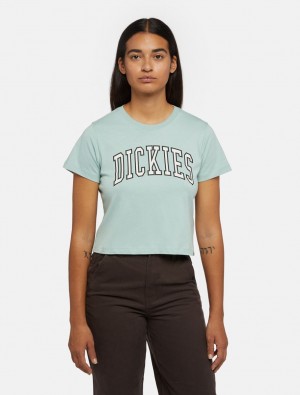 Camiseta Dickies Aitkin Short Sleeve Feminino Azuis | 347199362