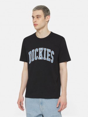 Camiseta Dickies Aitkin Short Sleeve Masculino Pretas | 415037204