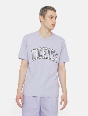 Camiseta Dickies Aitkin Short Sleeve Masculino Lavanda | 949065653