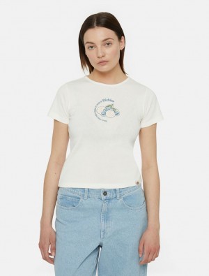 Camiseta Dickies Altoona Short Sleeve Feminino Branco | 527070557