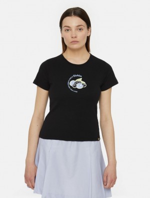 Camiseta Dickies Altoona Short Sleeve Feminino Pretas | 828380353