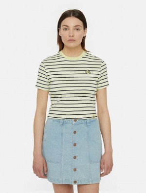 Camiseta Dickies Altoona Stripe Short Sleeve Feminino Amarelas | 512776855