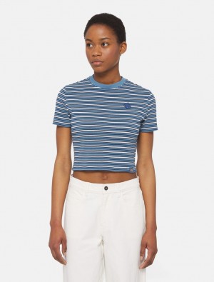 Camiseta Dickies Altoona Stripe Short Sleeve Feminino Azuis | 140320433