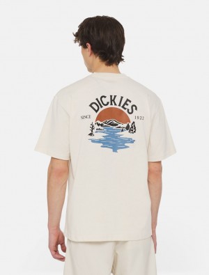 Camiseta Dickies Beach Short Sleeve Masculino Branco | 119777158