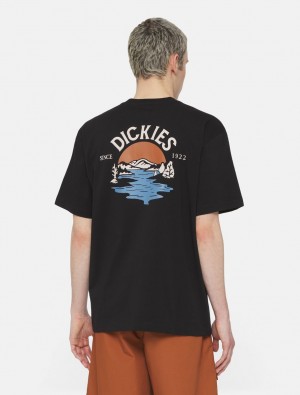 Camiseta Dickies Beach Short Sleeve Masculino Pretas | 482374586