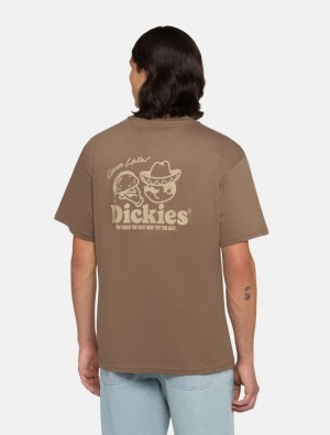 Camiseta Dickies Big Sandy Masculino Marrom | 67001064