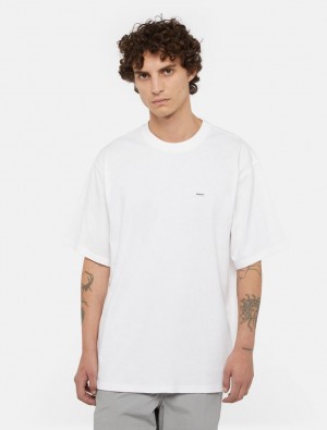 Camiseta Dickies Clancy Heavyweight Masculino Branco | 254560650