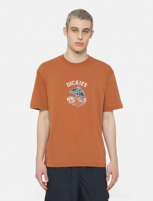 Camiseta Dickies Dumfries Short Sleeve Masculino Marrom | 318167337