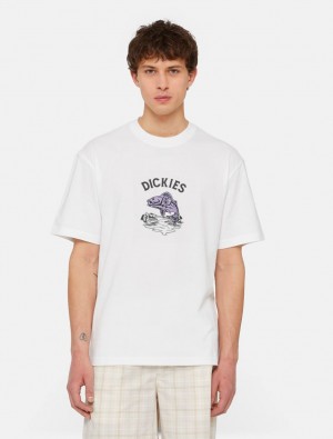 Camiseta Dickies Dumfries Short Sleeve Masculino Branco | 519573228