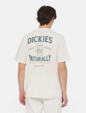 Camiseta Dickies Elliston Short Sleeve Masculino Branco | 463857798