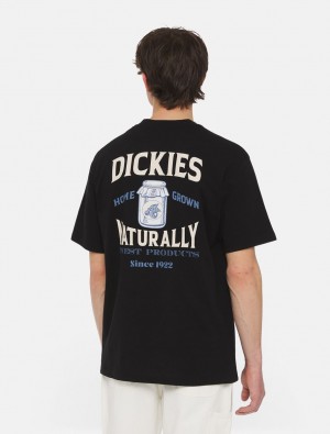 Camiseta Dickies Elliston Short Sleeve Masculino Pretas | 782459865