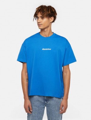 Camiseta Dickies Enterprise Short Sleeve Masculino Azuis | 905445390