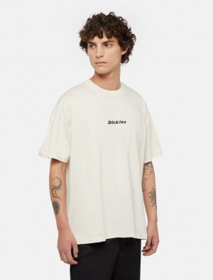 Camiseta Dickies Enterprise Short Sleeve Masculino Branco | 623476914