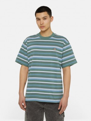 Camiseta Dickies Glade Spring Short Sleeve Masculino Azuis | 751402522