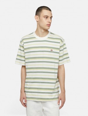 Camiseta Dickies Glade Spring Short Sleeve Masculino Amarelas | 125566432