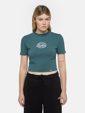 Camiseta Dickies Globe Feminino Verdes | 6693188