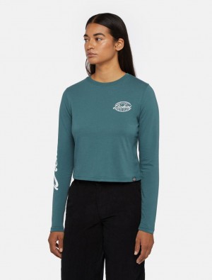 Camiseta Dickies Globe Long-Sleeve Feminino Verdes | 3095439