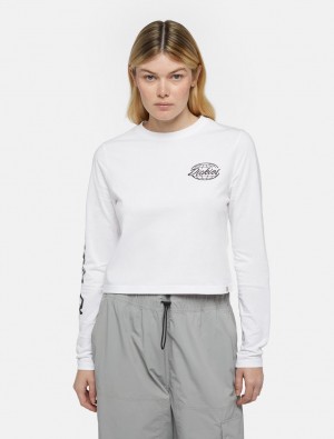 Camiseta Dickies Globe Long-Sleeve Feminino Branco | 23979287