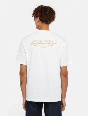 Camiseta Dickies Globe Masculino Branco | 957478465