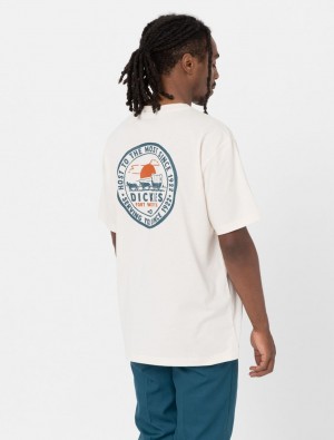 Camiseta Dickies Greensburg Short Sleeve Masculino Branco | 401351107