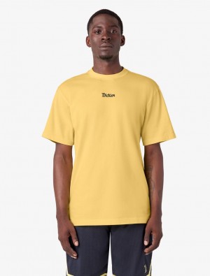 Camiseta Dickies Guy Mariano Embroidered Short Sleeve Masculino Amarelas | 535806442