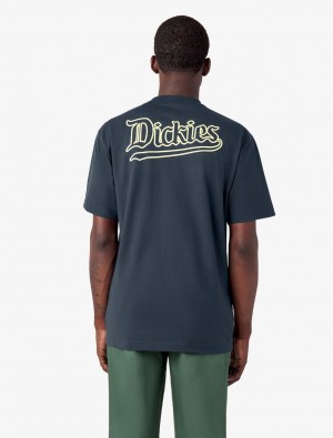 Camiseta Dickies Guy Mariano Graphic Short Sleeve Masculino Azul Marinho | 256944970