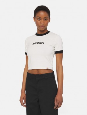 Camiseta Dickies Herndon Ringer Short Sleeve Feminino Branco | 22260747