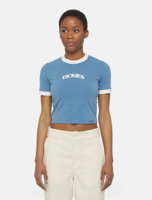 Camiseta Dickies Herndon Ringer Short Sleeve Feminino Azuis | 555805222