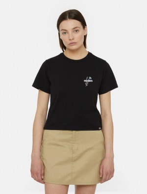 Camiseta Dickies Herndon Short Sleeve Feminino Pretas | 378410242