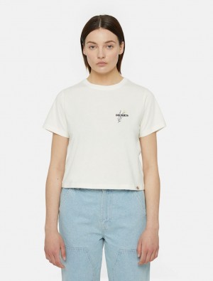 Camiseta Dickies Herndon Short Sleeve Feminino Branco | 880632638