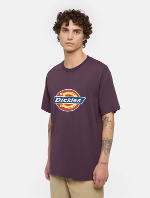 Camiseta Dickies Icon Logo Short Sleeve Masculino Roxo | 478044122