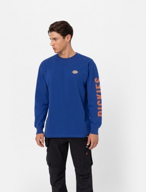 Camiseta Dickies Long Sleeve Logo Graphic Masculino Azuis | 990872269