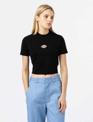 Camiseta Dickies Maple Valley Short Sleeve Feminino Pretas | 829821566