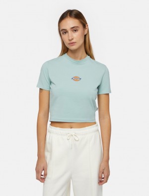 Camiseta Dickies Maple Valley Short Sleeve Feminino Azuis | 754840721