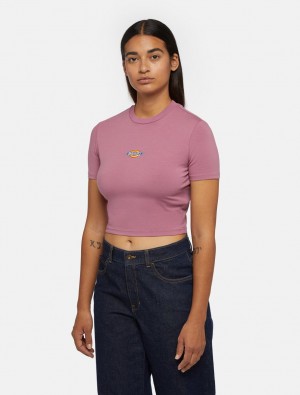 Camiseta Dickies Maple Valley Short Sleeve Feminino Rosa | 718883833