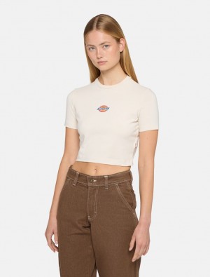 Camiseta Dickies Maple Valley Short Sleeve Feminino Branco | 218014537