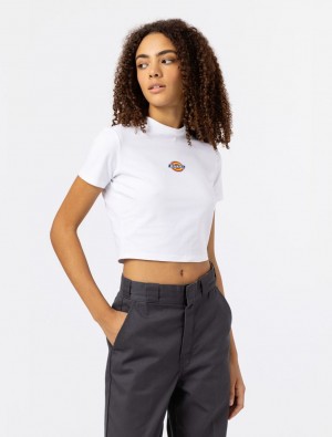 Camiseta Dickies Maple Valley Short Sleeve Feminino Branco | 687647104