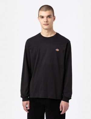 Camiseta Dickies Mapleton Long Sleeve Masculino Pretas | 597145800
