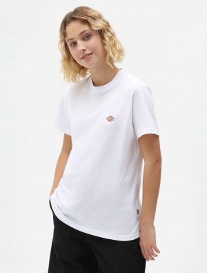 Camiseta Dickies Mapleton Short Sleeve Feminino Branco | 375699699