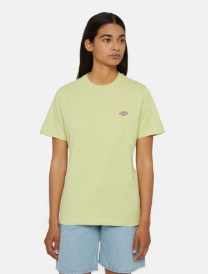 Camiseta Dickies Mapleton Short Sleeve Feminino Amarelas | 433359238