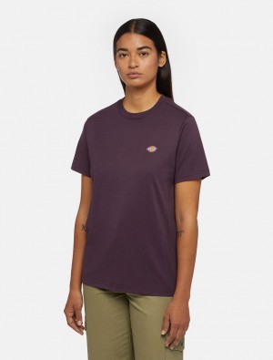 Camiseta Dickies Mapleton Short Sleeve Feminino Roxo | 750808313