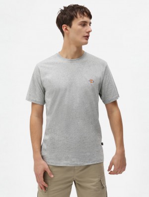 Camiseta Dickies Mapleton Short Sleeve Masculino Cinzentas | 616227066