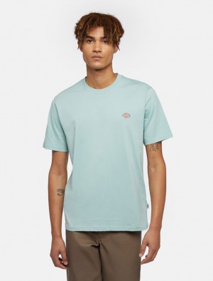 Camiseta Dickies Mapleton Short Sleeve Masculino Azuis | 27632174