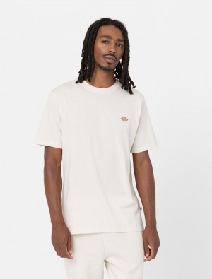 Camiseta Dickies Mapleton Short Sleeve Masculino Branco | 682697109