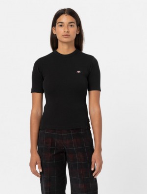 Camiseta Dickies Marysville Short Sleeve Feminino Pretas | 442595473