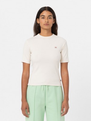 Camiseta Dickies Marysville Short Sleeve Feminino Branco | 766831157