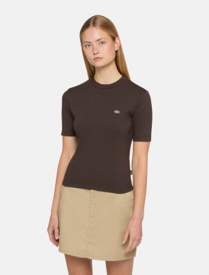 Camiseta Dickies Marysville Short Sleeve Feminino Chocolate | 234810450