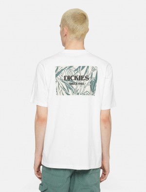 Camiseta Dickies Max Meadows Short Sleeve Masculino Branco | 577685936