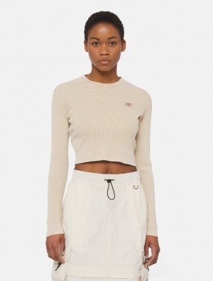 Camiseta Dickies Newington Long Sleeve Feminino Bege | 969740307